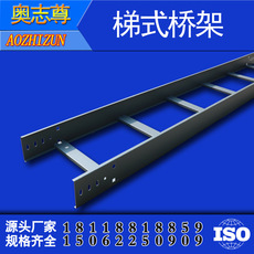梯式橋架 噴塑橋架 防火橋架 鍍鋅梯(tī)式橋架500*100*1.5