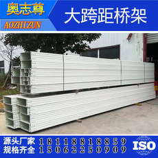 大跨距梯式橋架 一次成型槽式橋架 噴塑鍍鋅橋架 300*100